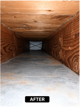 Main Trunk Line Deep Clean — Central Illinois — after professional cleaning